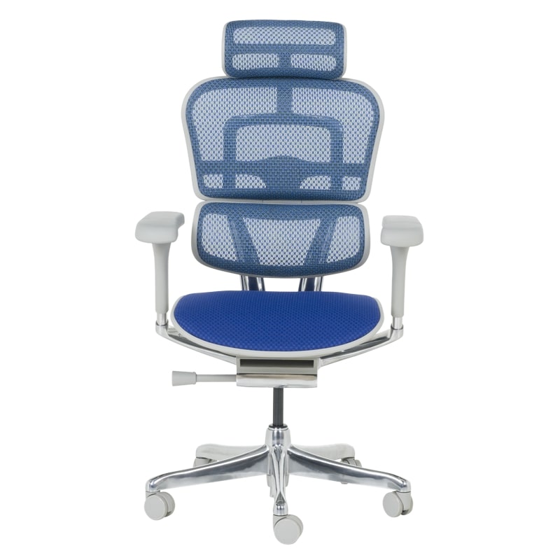 Ергономичен офис стол Ergohuman Elite 2 син-сив